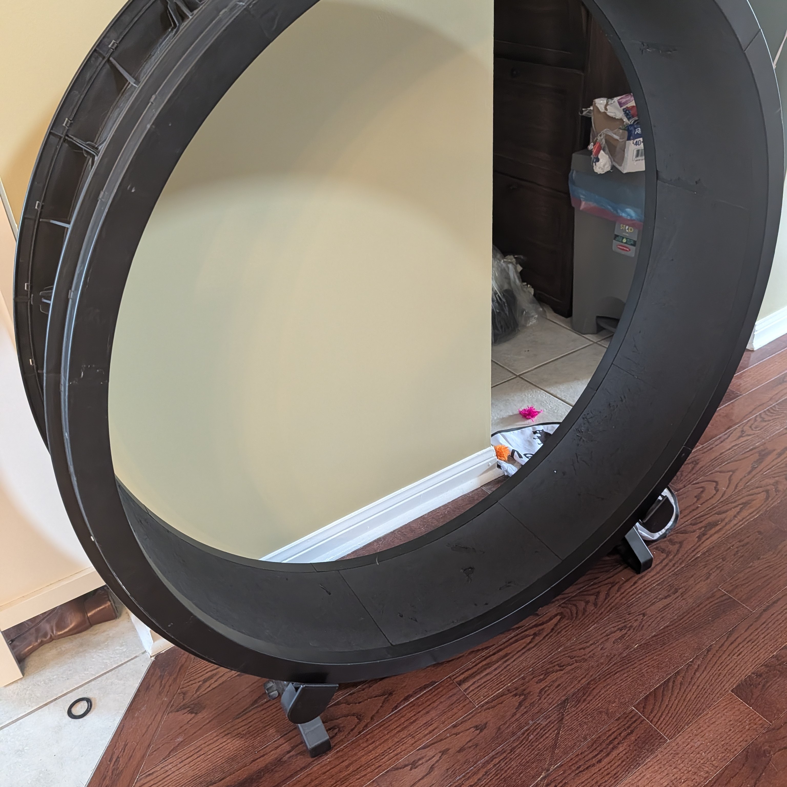 Sometimes while I'm doing homework, Piscses will go onto her cat wheel and run on It, mostly for attention and pats, flopping over when someone gets close to her. Sometimes she runs so fast, all I can hear is the rumbling clacking noise and her paws running on the track.<br><audio controls src='Noises/Cat wheel.m4a'></audio>